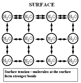 Surface tension in water