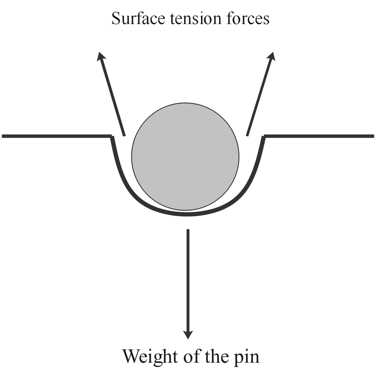 Surface tension on a needle
