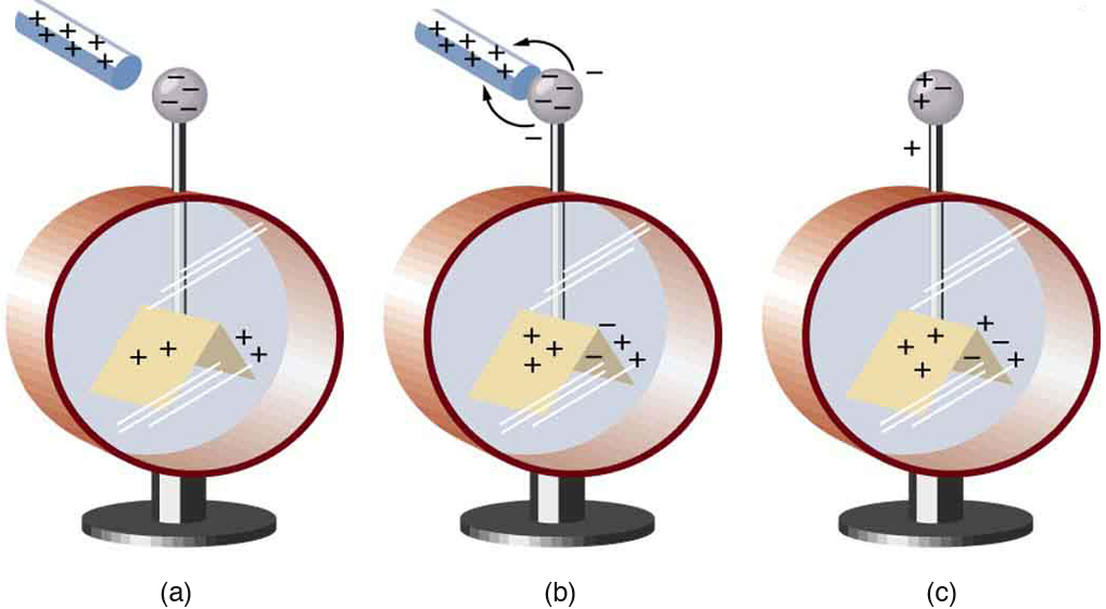 an electroscope being charged