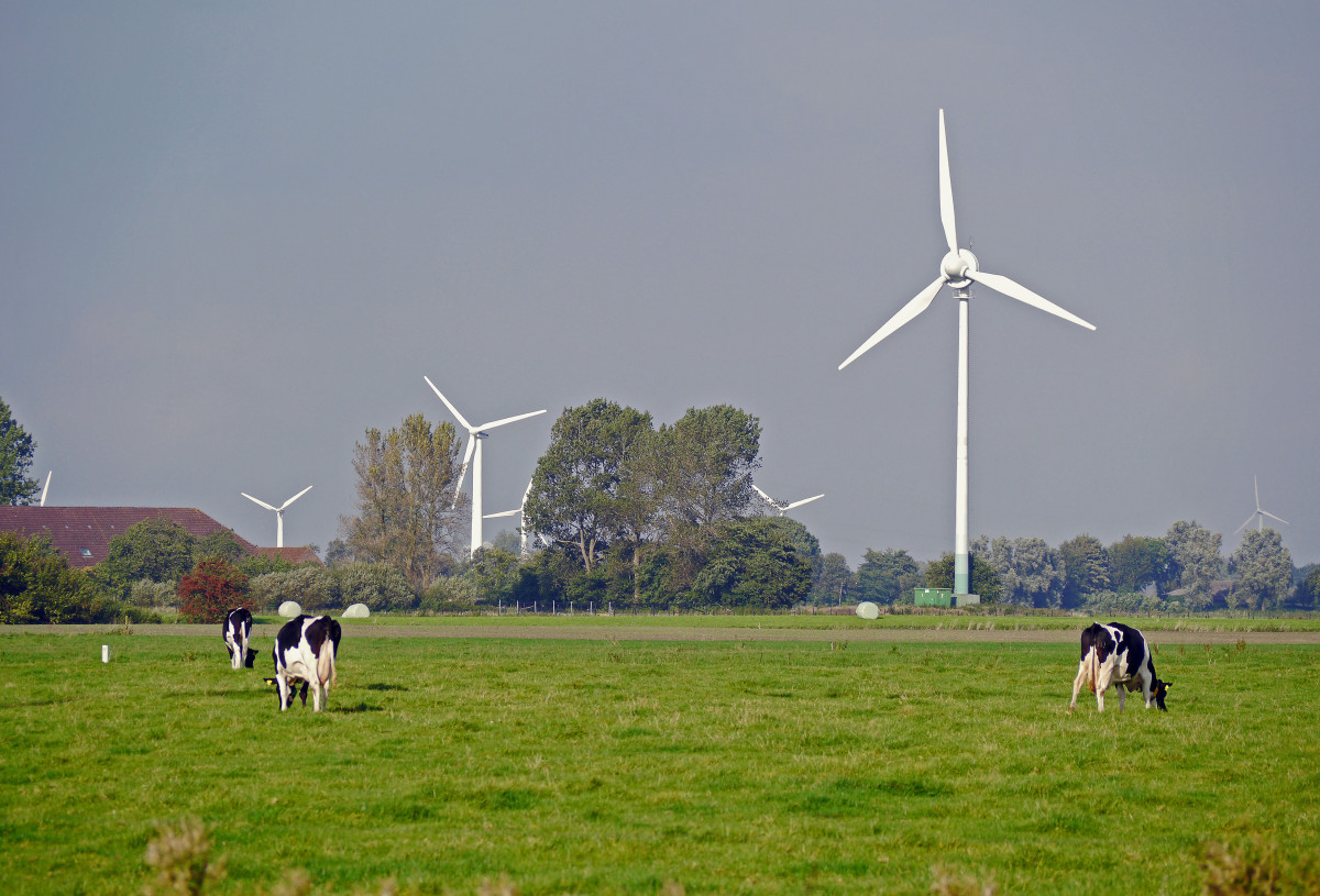 A wind farm on a farm